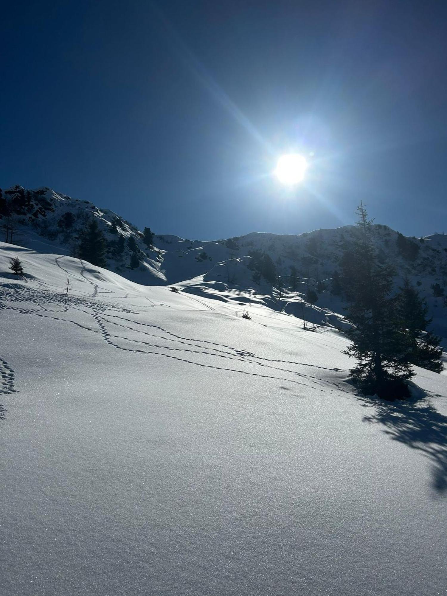 Der Paternwirt Otel Maria Luggau Dış mekan fotoğraf